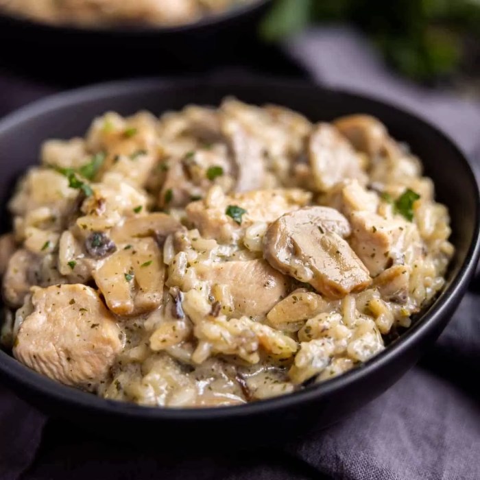 Mushroom soup chicken rice casserole recipe